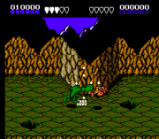 Play Battletoads Online