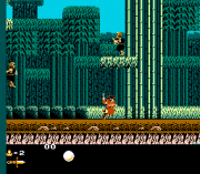 Play Fudou Myouou Den Online