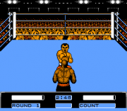 Play George Foreman’s KO Boxing Online