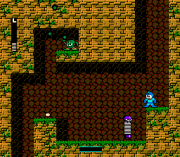 Play Magical Rockman Online