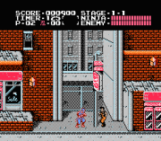 Play Ninja Gaiden Online