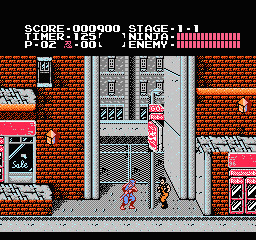 Play Ninja Gaiden Online