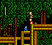 Play Rockman 2 – Gray Zone Online