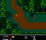 Play Snake’s Revenge Online