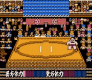 Play Sumo Wrestling Online