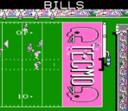 Play Tecmo Super Bowl ’04 Roster Online