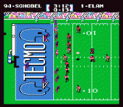 Play Tecmo Super Bowl 2009-2010 Online