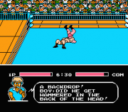 Play Tecmo World Wrestling Online