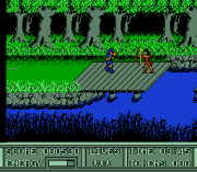 Play The Legend of Prince Valiant Online