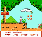 Play Tiny Toon Adentures 6 Online