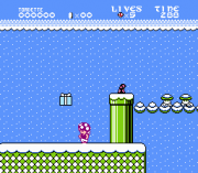 Play Toadette’s Christmas Adventure Online