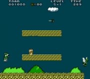 Play Toads Adventure Online